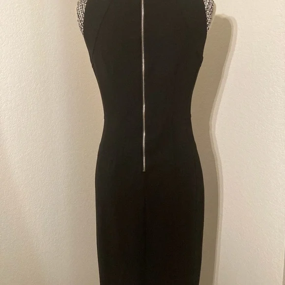 COPY - White House | Black Market Sleeveless Dress (4) - Picture 2 of 8